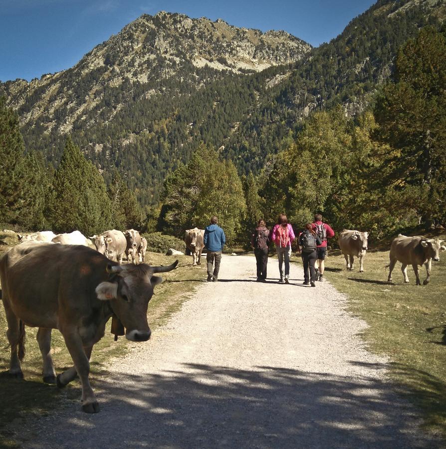 Casa Rural Hortal Vendégház Barruera Kültér fotó